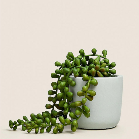 https://retrofashionzs.com/products/green-artificial-plant-with-pot